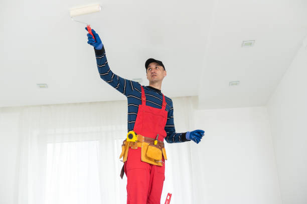 Trusted Ronan, MT Dry wall and painting Experts